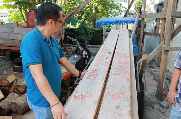 DENR 13 RD Tamayo looks at confiscated lumber